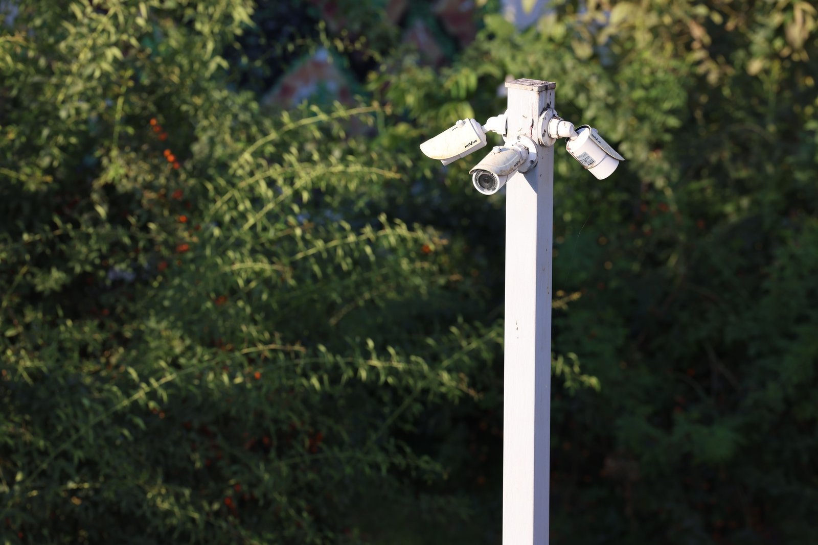 Reasons to Put Cameras on Your Site
